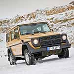 Повнопривідний LKW 0,5t gl typ461