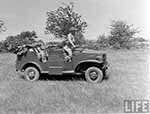 1/2 ton 4x4 Command Reconnaissance WC-6/15/23 